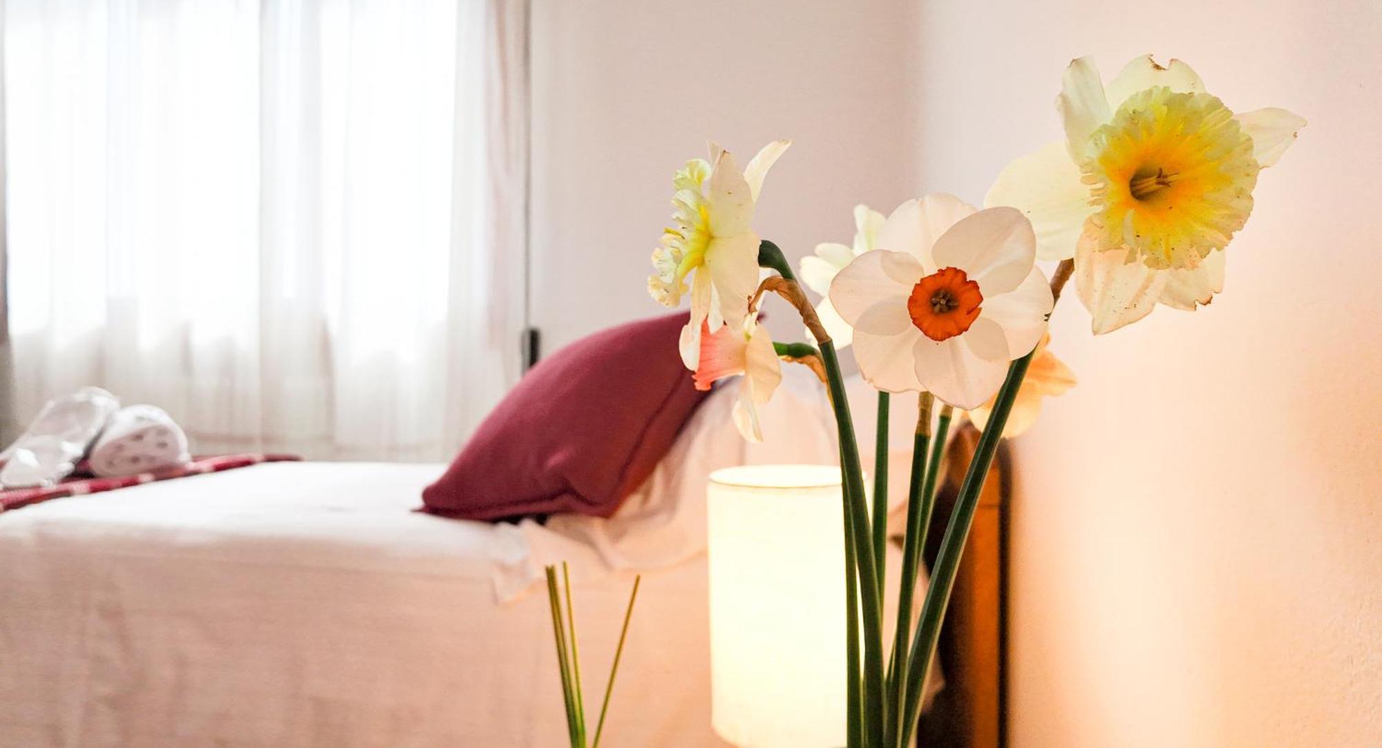 Hotel Dalla Mena Romano D'Ezzelino